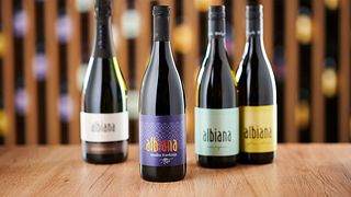 Posavska Wine & Vineyard Tour at Albiana Estate