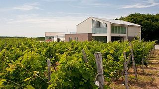 Uma visita e degustação de vinhos na vinícola Four Friends