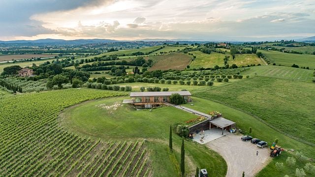 Wine Tasting and Tour at Stefano Amerighi