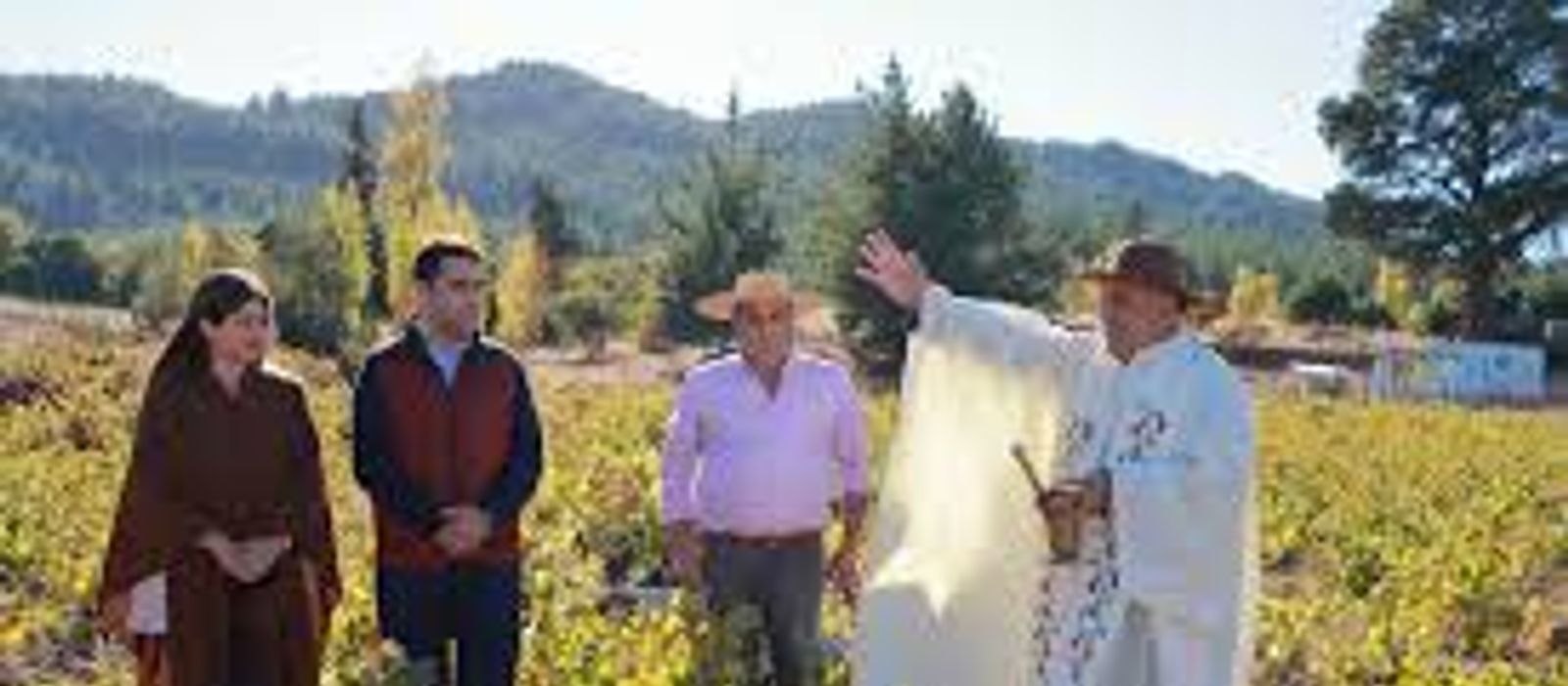 Images - 2026-05-29T135655.627