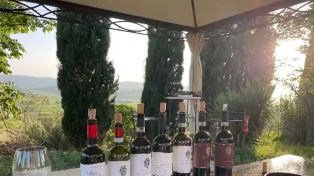 Dégustation de cinq vins chez Celestino Pecci