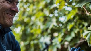 Moroder Winery