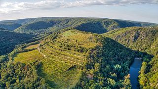 Serata di degustazione presso la cantina Laurent Šatov