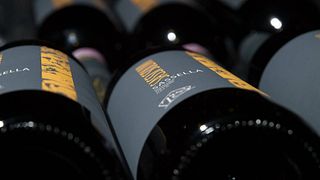 Dégustation et visite de vins à Triasso-Sassella
