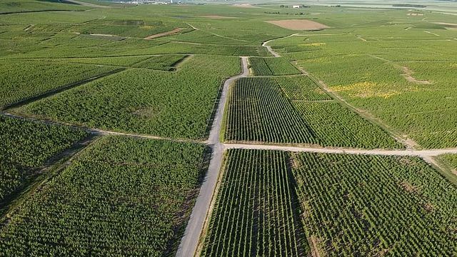 Vinprovning och rundtur på Champagne Philippe Glavier