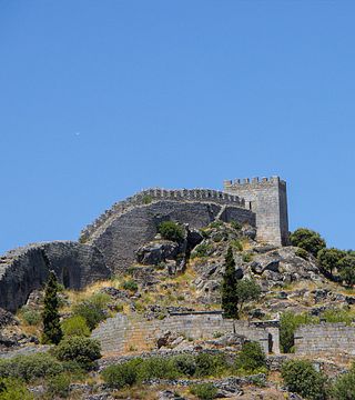Dégustation de vins et déjeuner à Quinta da Vineadouro