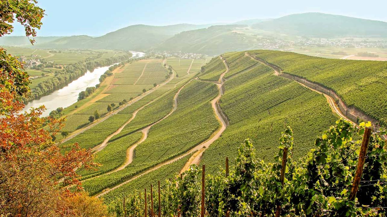 Weingut Karp-Schreiber