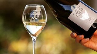 Degustazione di vini e tour allo Champagne Philippe Glavier