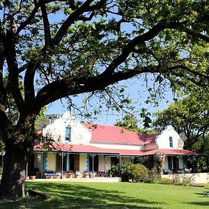 Soggiorno in agriturismo nello stato di Fynbos | Azienda vinicola Dragonridge