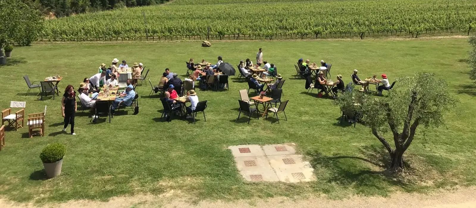 Cantine Aperte 1 1