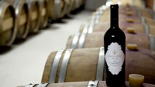 VinoTour X-plorer (visite privée)