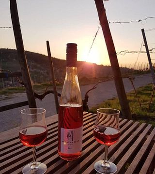 Wine & Drive Experience på Mannschreck Weine