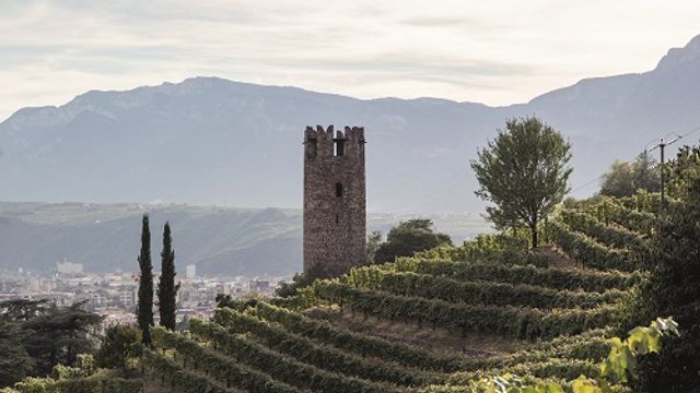 Visita alla cantina con degustazione di vini presso Rottensteiner Hans