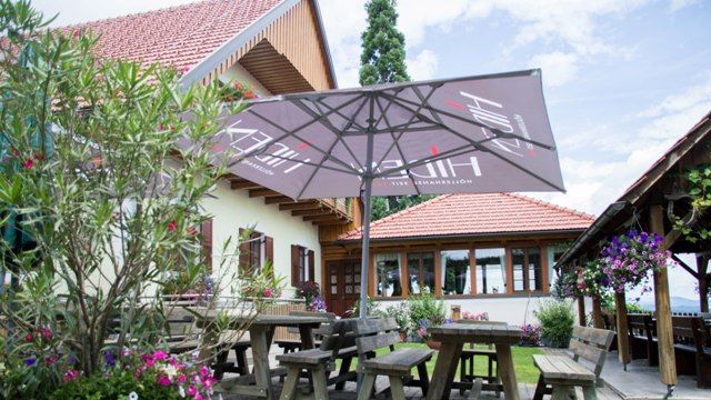 Dégustation de vins et visite du Weingut Hiden