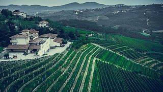 Carolina Jakoncic Winery