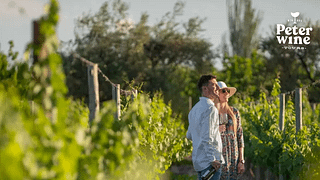 Visite des vins de Luján de Cuyo