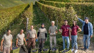 Tenuta Barac