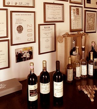 Tuscan Organic Wine & Olive Oil Tasting at Fattoria La Ripa