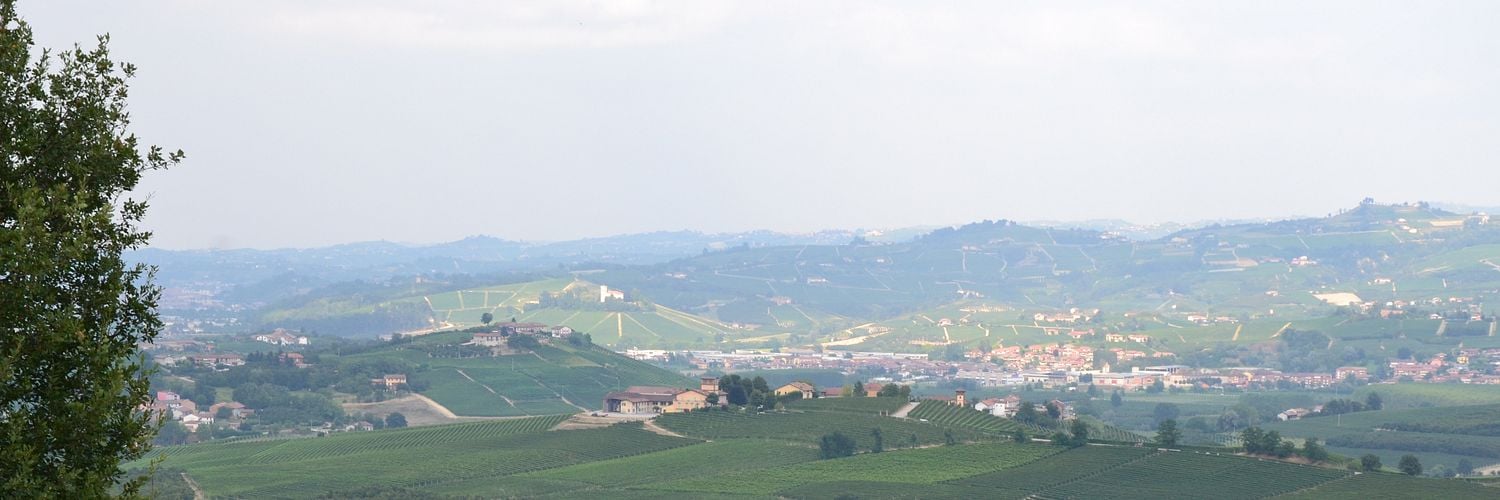 4 Roncaglie Barolo Vigna