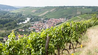Bio-Weingut Stefan Bardorf