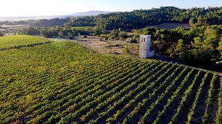 Château St Jacques d'Albas