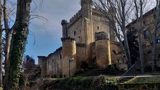 Degustação de vinhos e tour nas Bodegas Señorío de Líbano