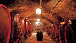 Dégustation de vins et visite du Weinhaus am Main