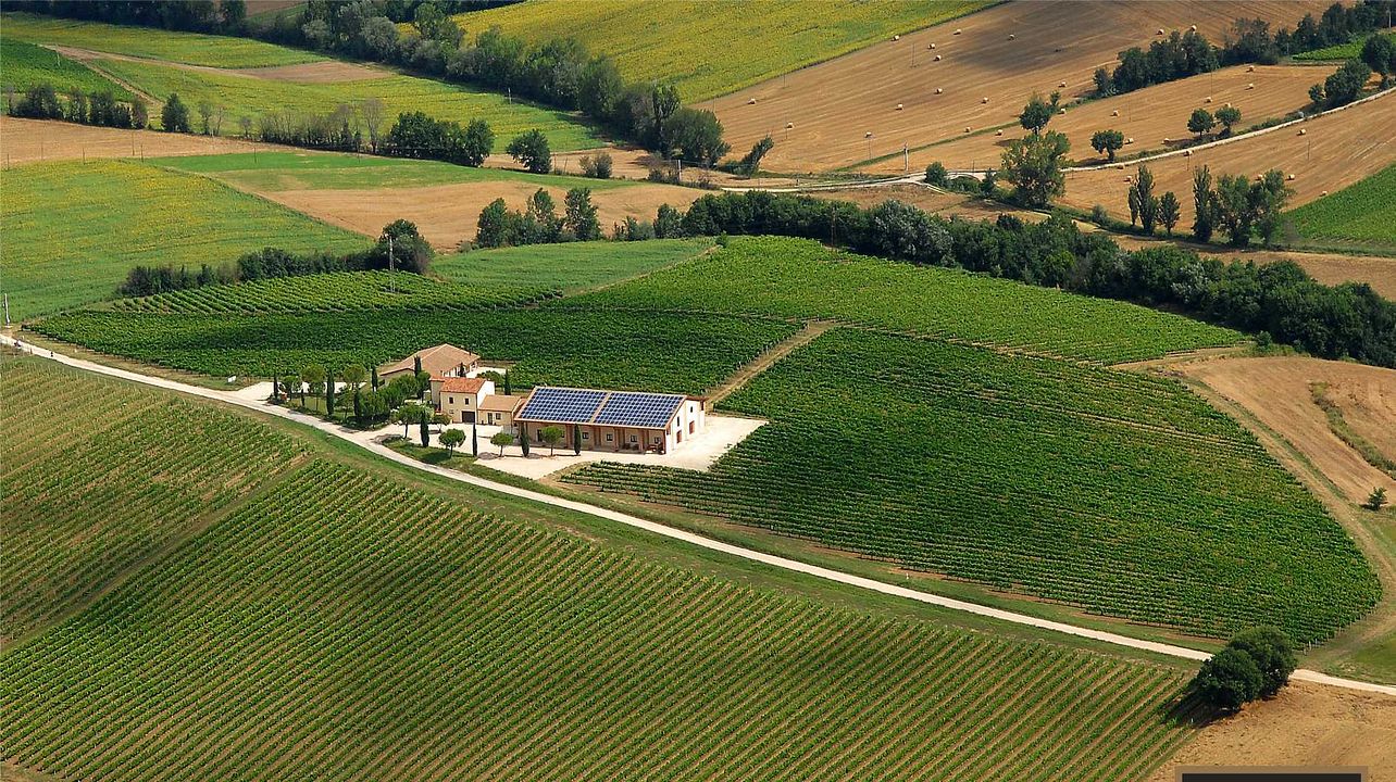 Le Cimate Winery