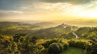 Cata de vinos en Vinoteka Brda