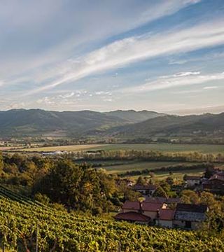 Degustazione di vini e visita a Vina Poljšak
