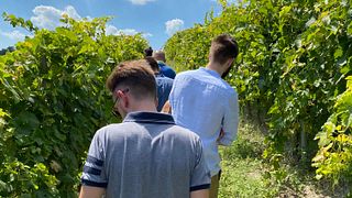 Degustação de vinhos - Servindo vinhos de barris com o ladrão de vinhos