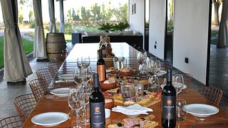 Expérience classique chez WHT Huarpe Riglos Wines