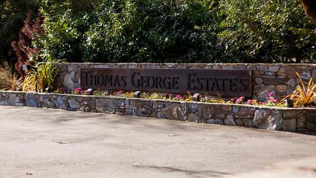 Degustación diaria y visita guiada en Thomas George Estates