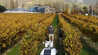 Bodegas Puelles Winery