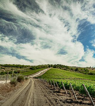 Wine Tour "Asiram"