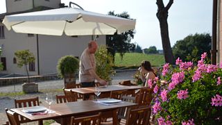 Savor Tuscan Wine & Cheese at Chianti Classico Winery