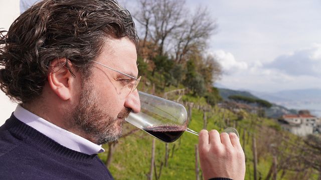 Tour de vinhos Cilento com sommelier profissional