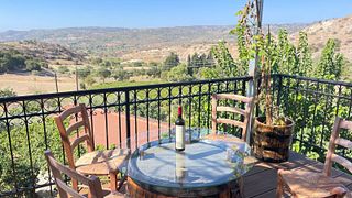 Dalla vite al vino: uve autoctone e cantine biologiche dei villaggi vinicoli di Paphos.