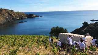 Degustação de vinhos e passeio em Terre des Templiers