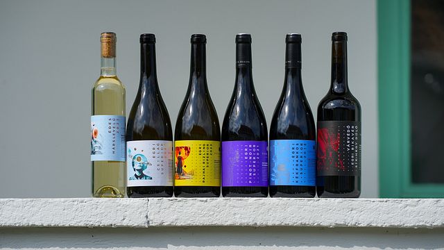 Upper Hungary Wine & Cellar Journey at Tóth Ferenc