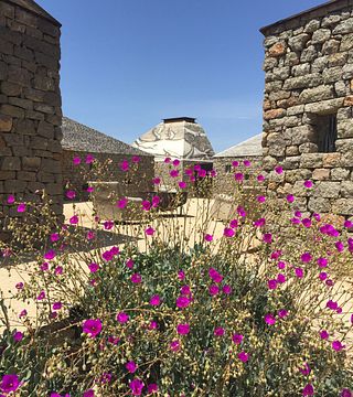 Degustazione di vini e tour al Clos De Tres Cantos