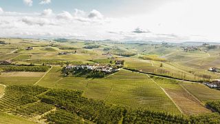 Degustazione di vini "Pulin"