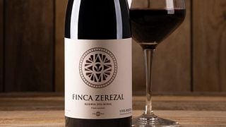 Dégustation de vins et visite de la cave Viña Memorias