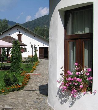 Degustação de vinhos e visita à adega Azuga Rhein