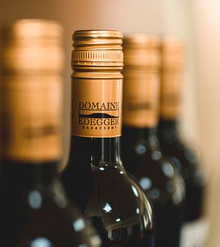 Visite complète - Dégustation de vins au domaine bio Edegger
