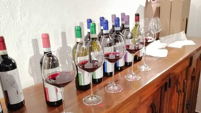 Weinprobe und Führung in der Azienda Agricola Biologica Riccardo Vigna