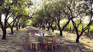 Degustazione di vini e visita alla cantina Antiyal