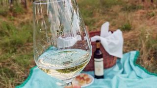 Pic Nic in Vigna | Lodi Corazza