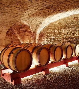 Dégustation de vins au Château De Chamirey