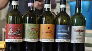 Degustação de vinhos e tour na Cascina Corte